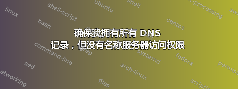 确保我拥有所有 DNS 记录，但没有名称服务器访问权限