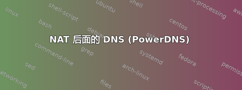 NAT 后面的 DNS (PowerDNS)