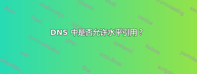 DNS 中是否允许水平引用？