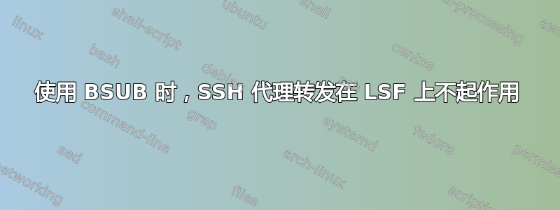 使用 BSUB 时，SSH 代理转发在 LSF 上不起作用