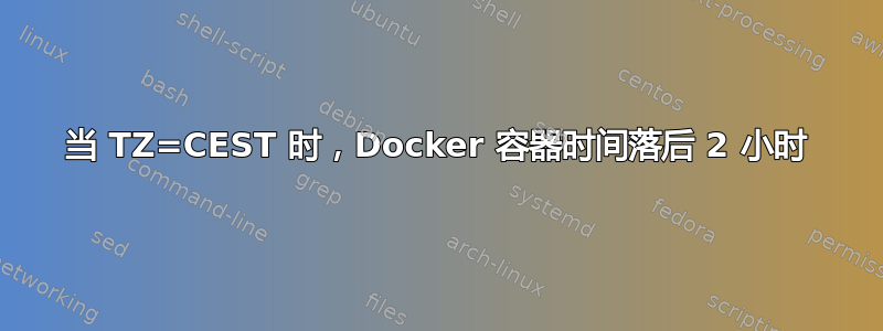 当 TZ=CEST 时，Docker 容器时间落后 2 小时