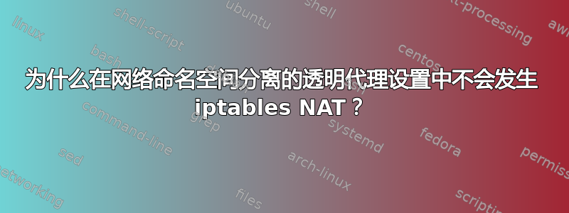 为什么在网络命名空间分离的透明代理设置中不会发生 iptables NAT？