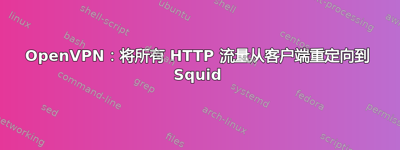 OpenVPN：将所有 HTTP 流量从客户端重定向到 Squid