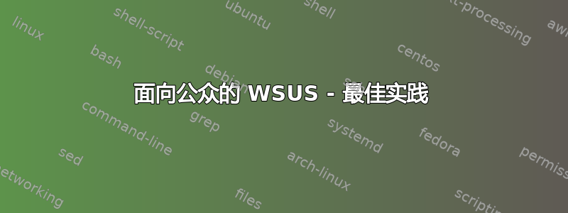 面向公众的 WSUS - 最佳实践