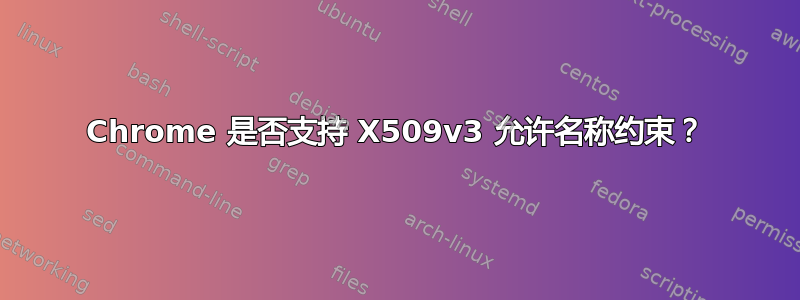 Chrome 是否支持 X509v3 允许名称约束？