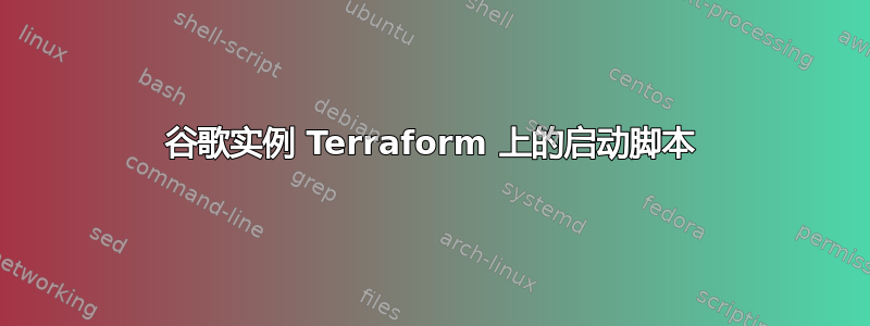 谷歌实例 Terraform 上的启动脚本