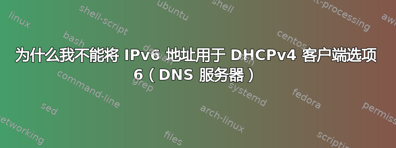 为什么我不能将 IPv6 地址用于 DHCPv4 客户端选项 6（DNS 服务器）