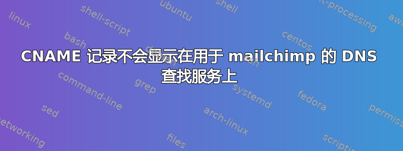 CNAME 记录不会显示在用于 mailchimp 的 DNS 查找服务上