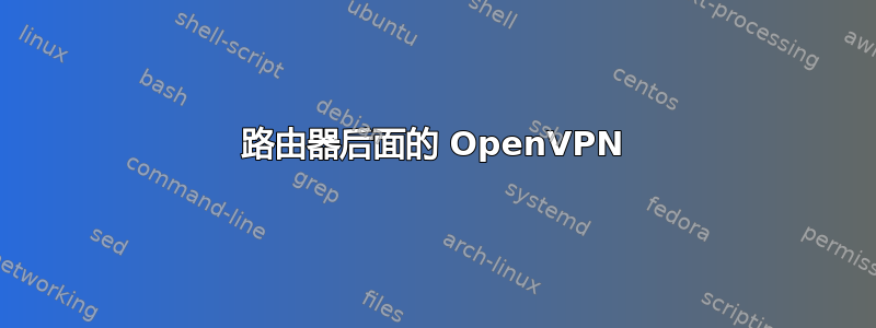 路由器后面的 OpenVPN