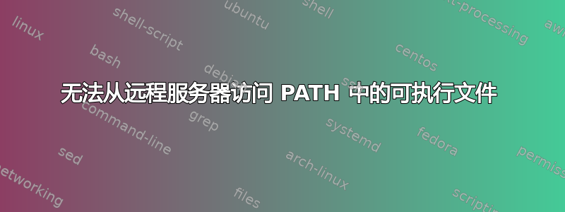 无法从远程服务器访问 PATH 中的可执行文件