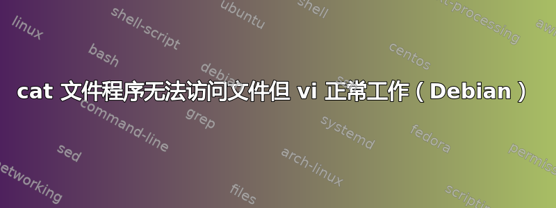 cat 文件程序无法访问文件但 vi 正常工作（Debian）