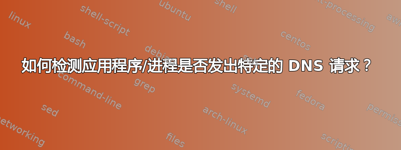 如何检测应用程序/进程是否发出特定的 DNS 请求？