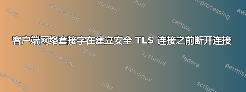 客户端网络套接字在建立安全 TLS 连接之前断开连接