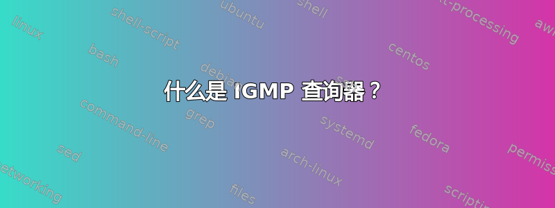 什么是 IGMP 查询器？