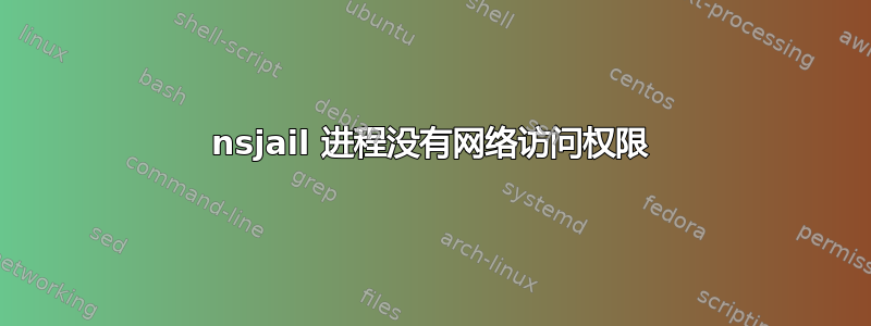 nsjail 进程没有网络访问权限