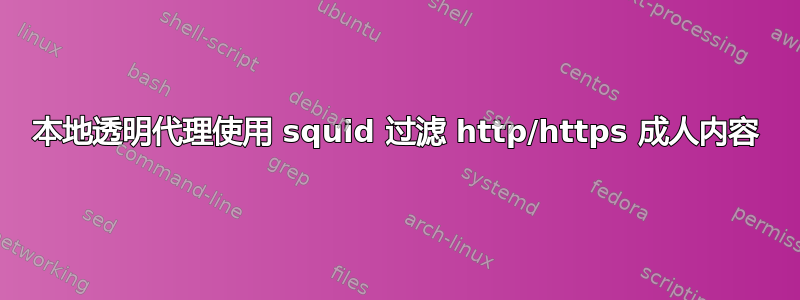 本地透明代理使用 squid 过滤 http/https 成人内容