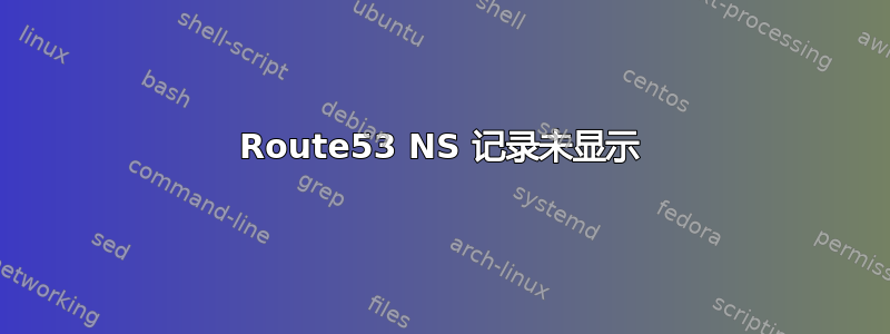 Route53 NS 记录未显示