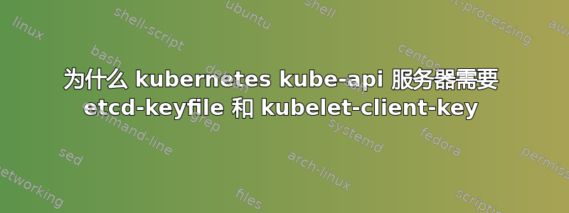 为什么 kubernetes kube-api 服务器需要 etcd-keyfile 和 kubelet-client-key