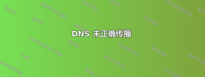 DNS 未正确传播