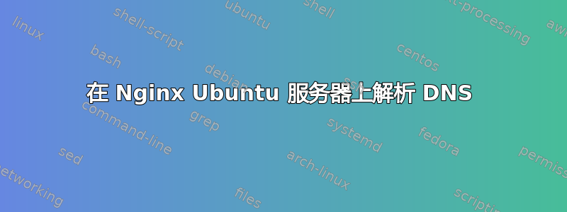 在 Nginx Ubuntu 服务器上解析 DNS