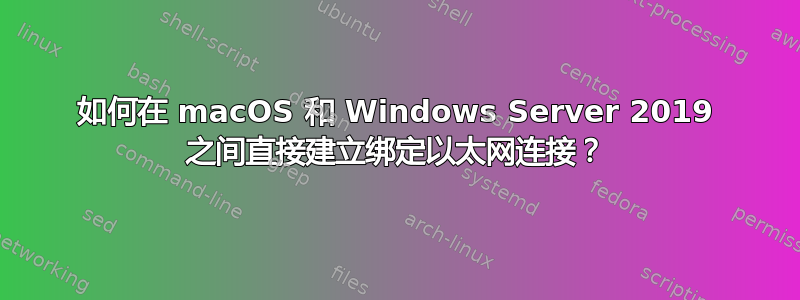 如何在 macOS 和 Windows Server 2019 之间直接建立绑定以太网连接？