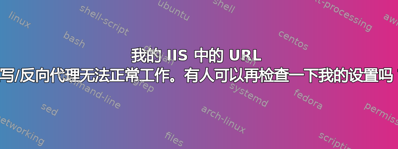 我的 IIS 中的 URL 重写/反向代理无法正常工作。有人可以再检查一下我的设置吗？