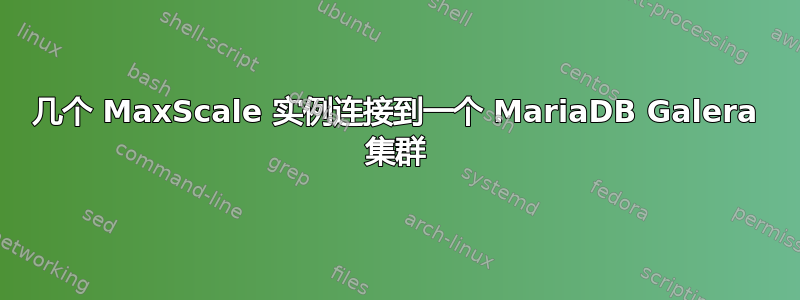 几个 MaxScale 实例连接到一个 MariaDB Galera 集群