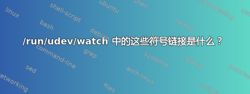 /run/udev/watch 中的这些符号链接是什么？