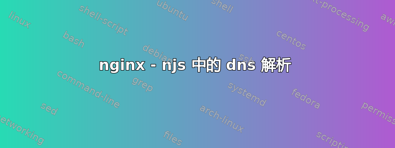 nginx - njs 中的 dns 解析