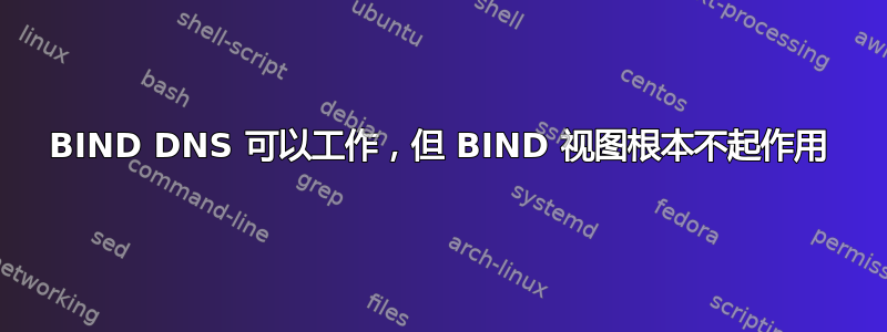 BIND DNS 可以工作，但 BIND 视图根本不起作用