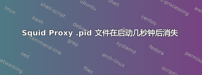 Squid Proxy .pid 文件在启动几秒钟后消失