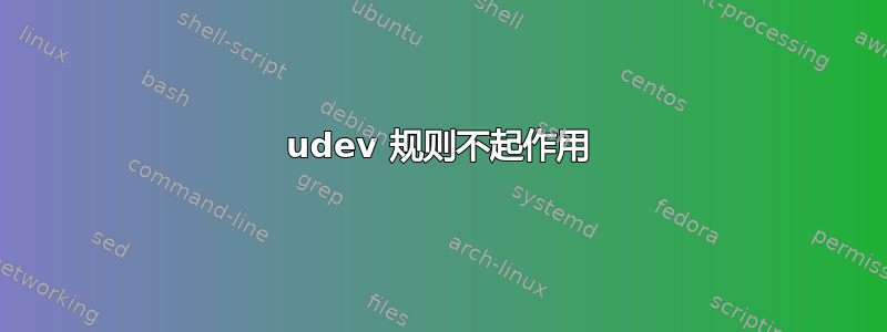 udev 规则不起作用