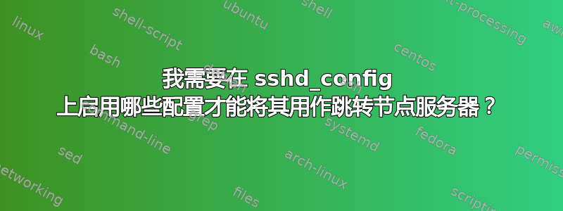 我需要在 sshd_config 上启用哪些配置才能将其用作跳转节点服务器？