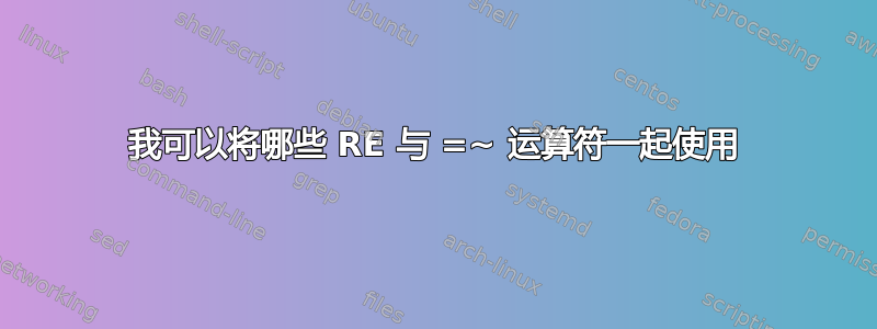 我可以将哪些 RE 与 =~ 运算符一起使用