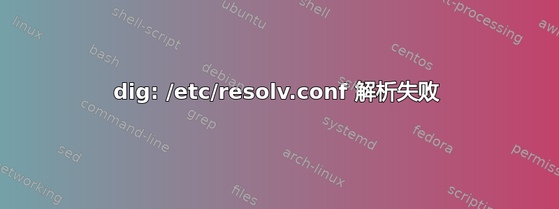 dig: /etc/resolv.conf 解析失败