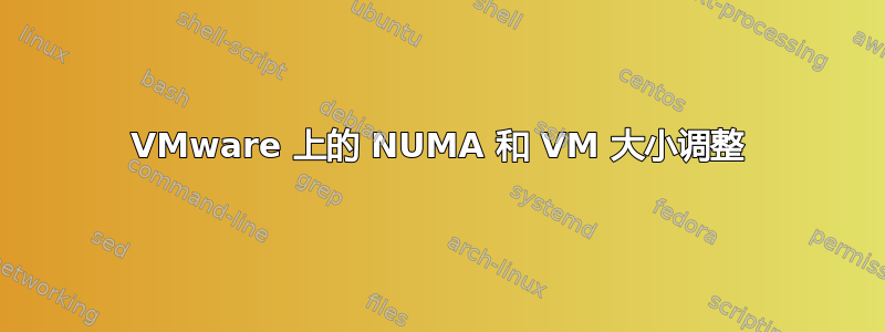 VMware 上的 NUMA 和 VM 大小调整