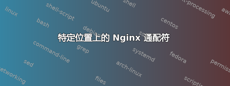 特定位置上的 Nginx 通配符