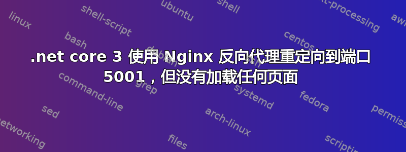 .net core 3 使用 Nginx 反向代理重定向到端口 5001，但没有加载任何页面