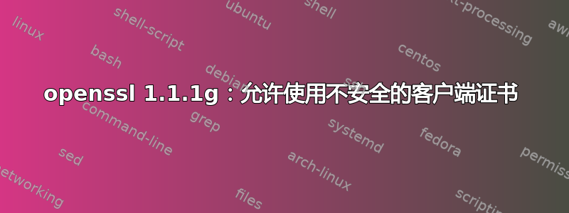 openssl 1.1.1g：允许使用不安全的客户端证书