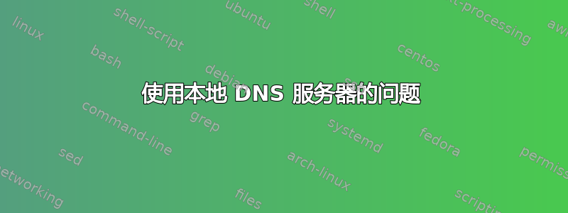 使用本地 DNS 服务器的问题