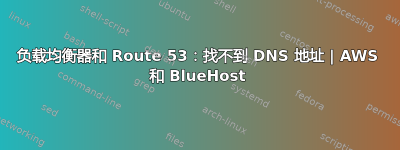 负载均衡器和 Route 53：找不到 DNS 地址 | AWS 和 BlueHost