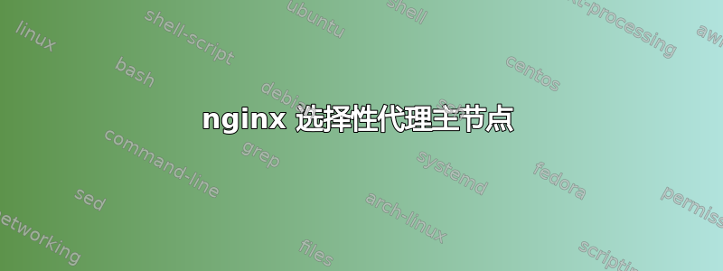 nginx 选择性代理主节点