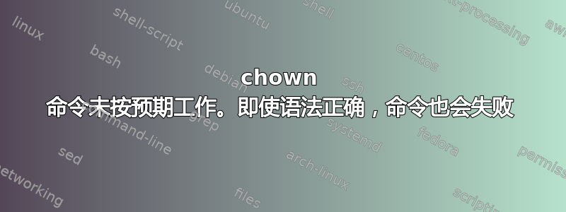 chown 命令未按预期工作。即使语法正确，命令也会失败