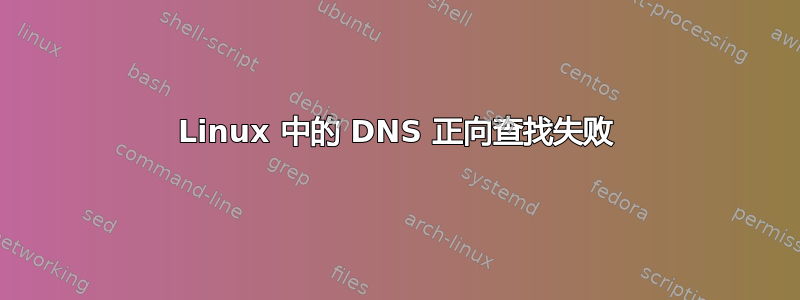 Linux 中的 DNS 正向查找失败