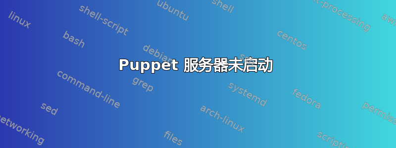 Puppet 服务器未启动