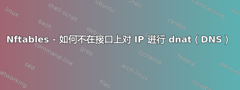 Nftables - 如何不在接口上对 IP 进行 dnat（DNS）