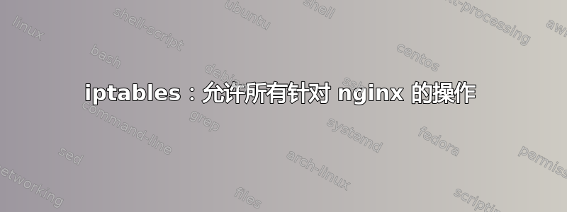 iptables：允许所有针对 nginx 的操作