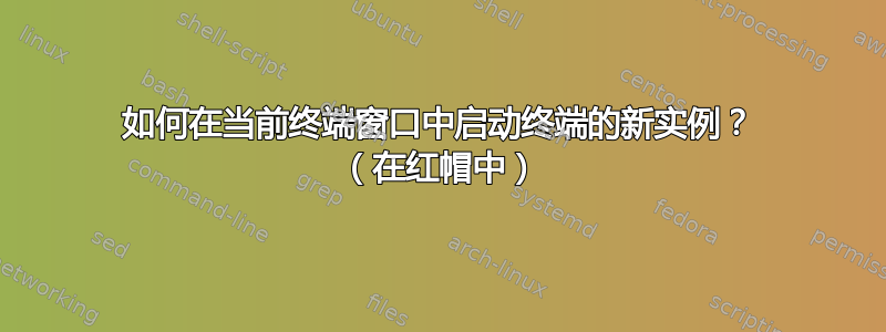 如何在当前终端窗口中启动终端的新实例？ （在红帽中）