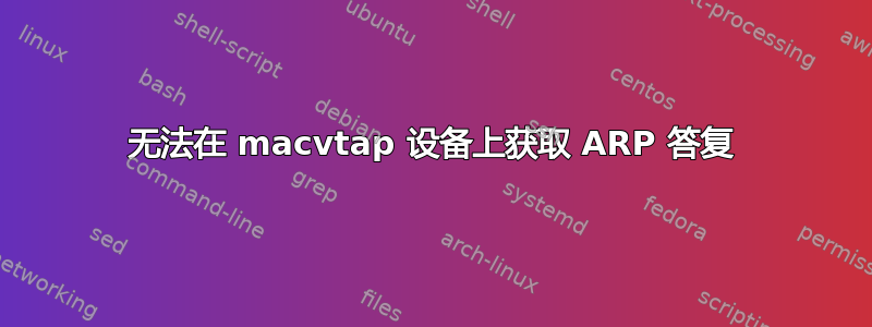 无法在 macvtap 设备上获取 ARP 答复