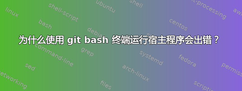 为什么使用 git bash 终端运行宿主程序会出错？